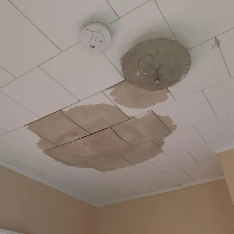 Ceiling Water Damage Repair in Tallmadge, OH