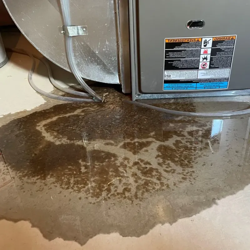 Pipe Burst and Leak Restoration in Tallmadge, OH