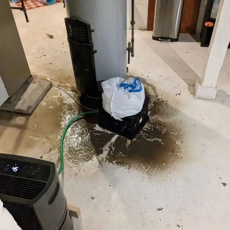 Sewage Backup Cleanup Service in Tallmadge, OH